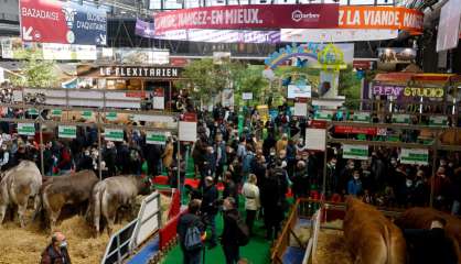 La Nouvelle-Calédonie remporte trois médailles au Salon de l'agriculture à Paris