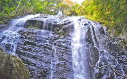 Située à deux pas de Nouméa, la cascade de Yahoué est sans doute la plus spectaculaire de l’agglomération. Une balade depuis le fond du quartier s’impose pour y accéder. Assez sportive, elle implique de remonter le cours d’eau à travers la forêt humide, p
