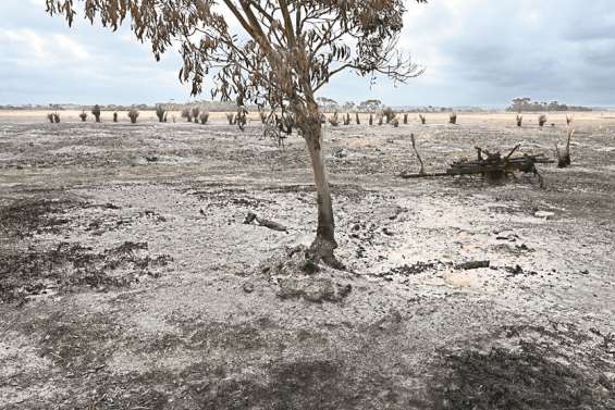 Les agriculteurs australiens vont tenter de panser leurs plaies