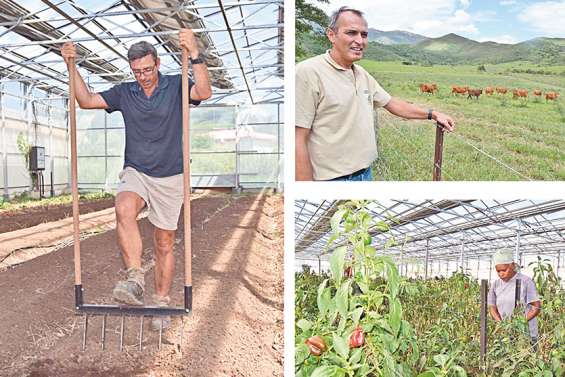 [VIDEO] Le défi de l’agriculture face au coronavirus