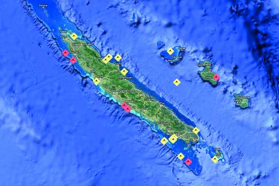 Attaques de requin : les hypothèses avancées