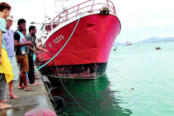 Les requins de Nouville, des voisins qui inquiètent