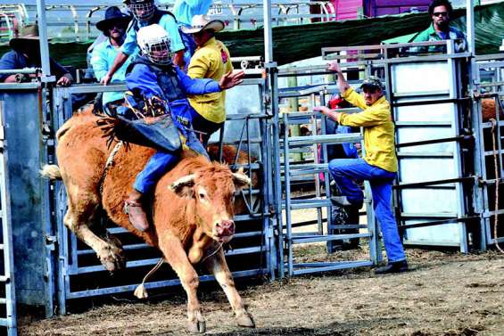 Les résultats des concours de la Foire du Nord