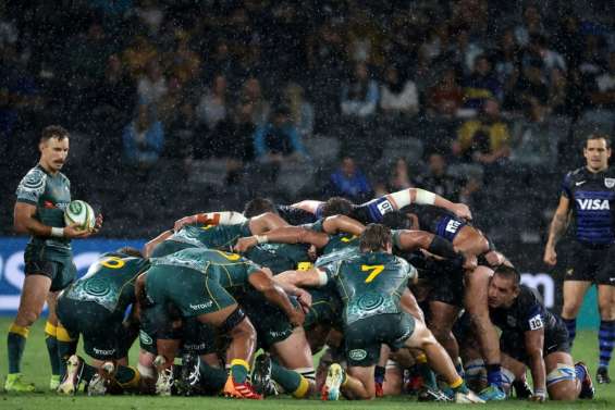 Rugby Championship: nouveau nul entre Australiens et Argentins, Nouvelle-Zélande sacrée 