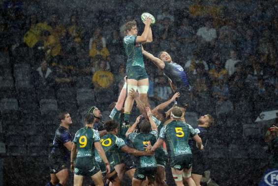 Rugby championship: l'Australie et l'Argentine font nul, les All Blacks sacrés
