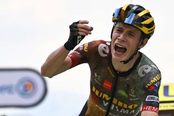 Tour de France: Vingegaard fait coup double au sommet