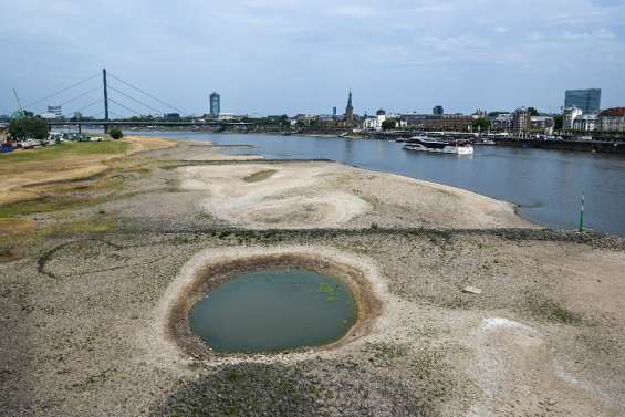 Sur le Rhin assoiffé, le transport fluvial au régime sec 