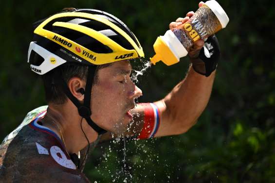 Tour de France: Roglic renonce avant la 15e étape 