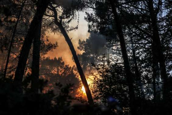 Un 14-Juillet de canicule, près de 4.000 hectares brûlés en Gironde