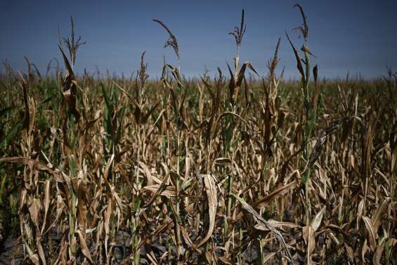La France entre dans le dur du nouvel épisode caniculaire