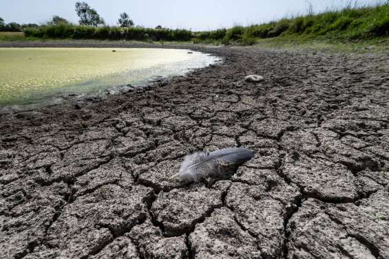 La France de nouveau sous la canicule et la sécheresse prolongée