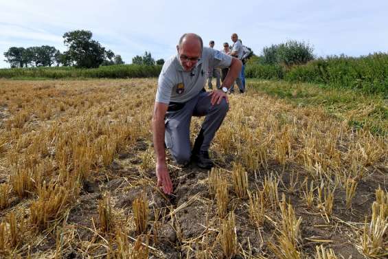 Une nouvelle canicule touche la France, affectant tous les organismes