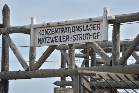 Dans la carrière délaissée du Struthof, des fouilles pour éclairer le travail forcé du camp de concentration