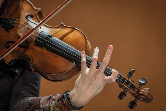 Un bois menacé d'interdiction, les archetiers en danger