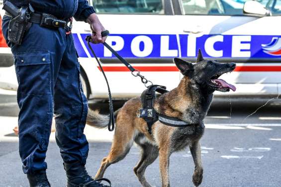 Jeune femme disparue à Brive: des 