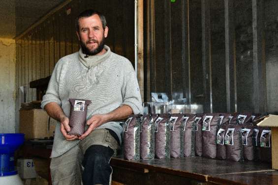 La filière de la lentille du Puy lutte pour sauver 