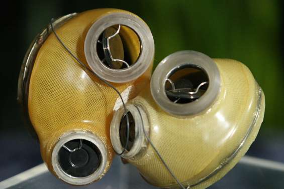 Il y a 40 ans, la première greffe d'un cœur artificiel permanent