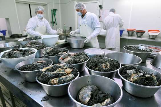 Science et transparence au service du caviar made in France