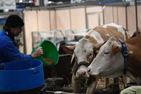 Salon de l'agriculture: Macron au contact du monde rural et des Français