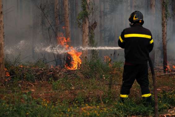 Vague de chaleur au Chili: les incendies menacent d'autres régions