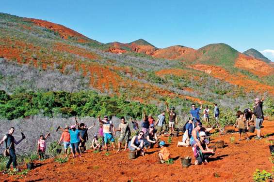 Caledoclean a planté 1 600 arbres à la rivière des Pirogues samedi