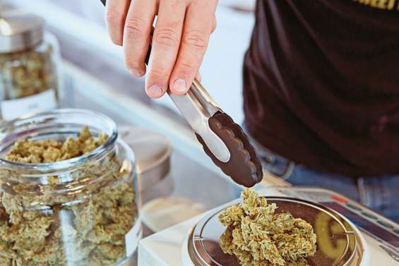 Le cannabis thérapeutique au Fenua, « illégal mais vital » pour certains