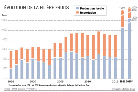 Les grandes ambitions de la  province Sud pour la filière fruits