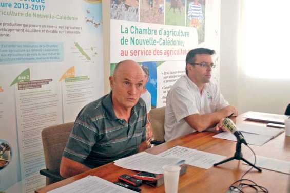 Les problèmes de la Chambre d’agriculture « font partie du passé »