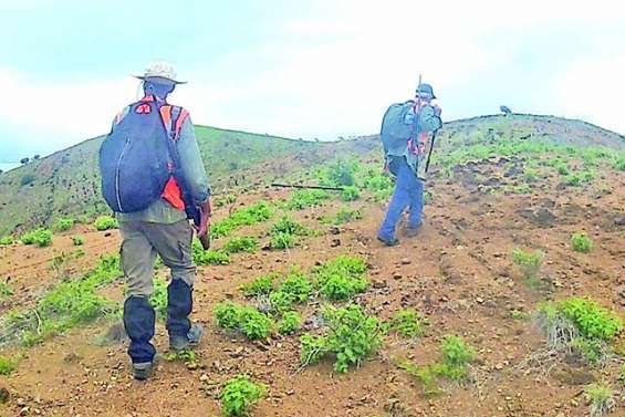Des chasseurs actifs à Païta