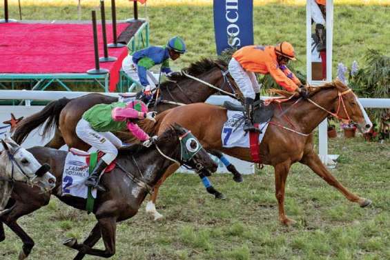 Coupe Clarke : Bounty Star déclassé, Crouma du Cap titré