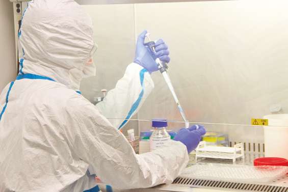 Au cœur des laboratoires qui piègent le coronavirus