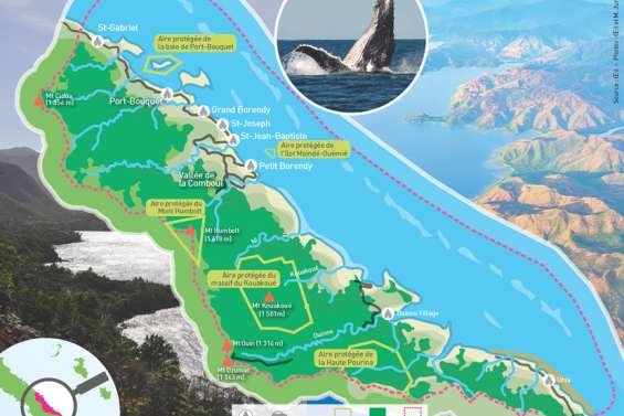 La côte Oubliée, l’arche de Noé de la biodiversité