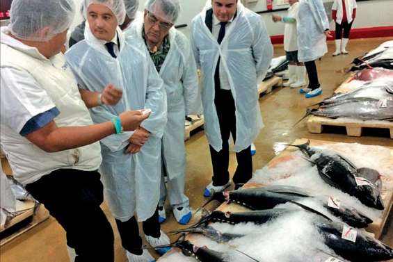 Défisc : « une réponse avant la fin de l’année »