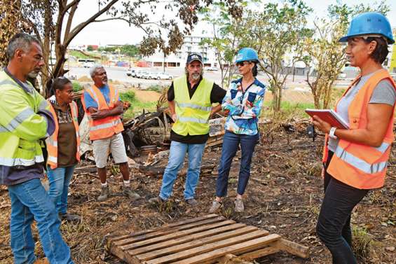 La dépollution de Palmiers III s’achève