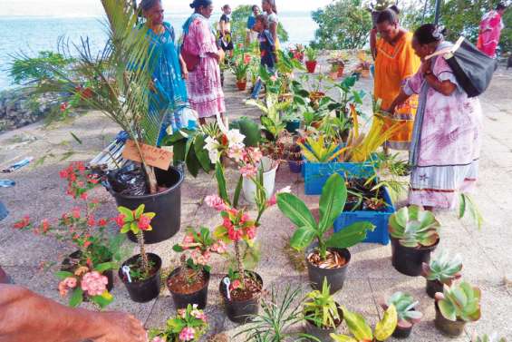 Une première édition de la journée des plantes sous le soleil