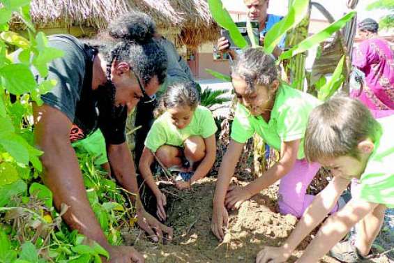 Une première récolte d’ignames à l’école