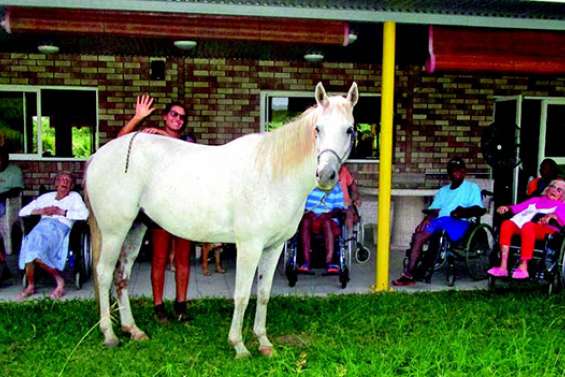 L’équithérapie s’invite à la maison de retraite La broussarde