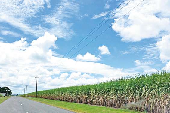 En Australie, les agriculteurs inquiets de la fermeture des frontières