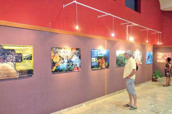 La beauté des récifs coralliens s’affiche au centre socioculturel
