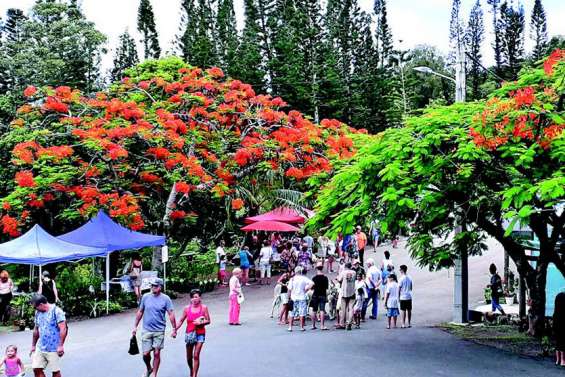 Farino a fait son premier marché
