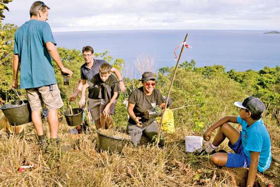 Quelle stratégie adopter pour redonner vie à nos forêts ?