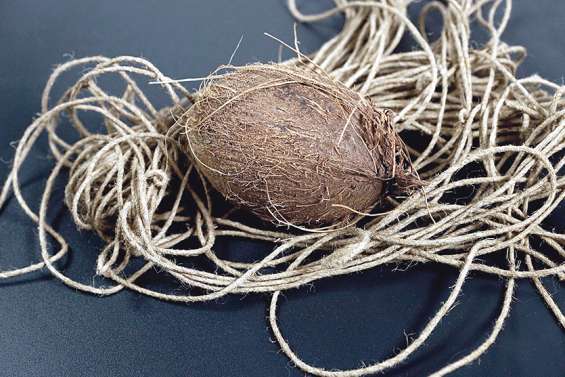 La fibre de coco pour sortir le lagon du plastique