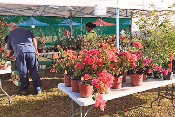 Une quarantaine de stands à la journée de l’horticulture