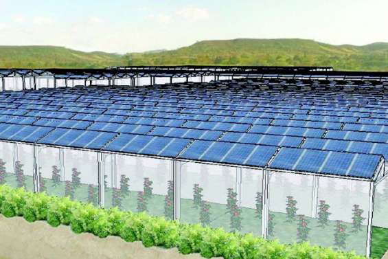 Energies renouvelables : quels sont les projets d’Enercal ?