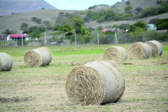 1,7 milliard de plus contre les risques agricoles