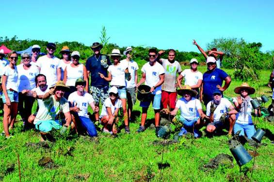 La forêt de Déva s’agrandit de nouveau