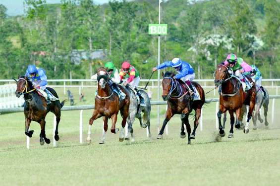 Indomptable du Cap, princesse des pouliches à La Foa
