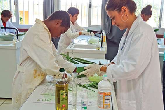 Des collégiens ont appris à fabriquer du gel hydroalcoolique