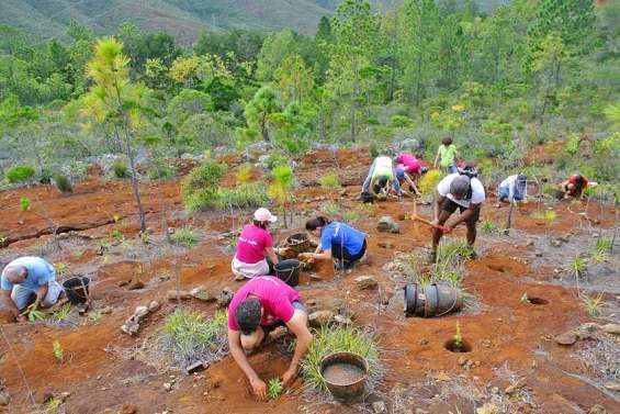 Les subventions aux associations ravivent la question écologique au conseil