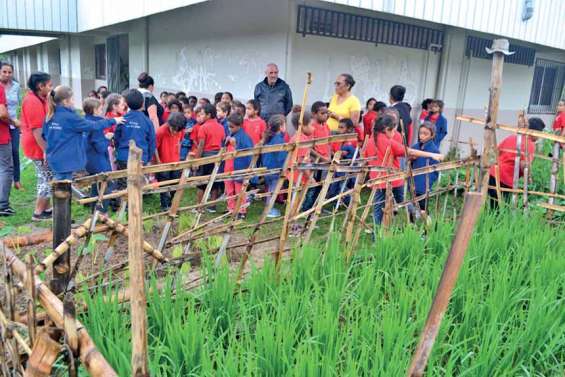 Les écoliers de Saint-Michel découvrent un havre de nature à La Rizière